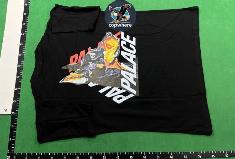 Palace T-shirt  (36 CP)