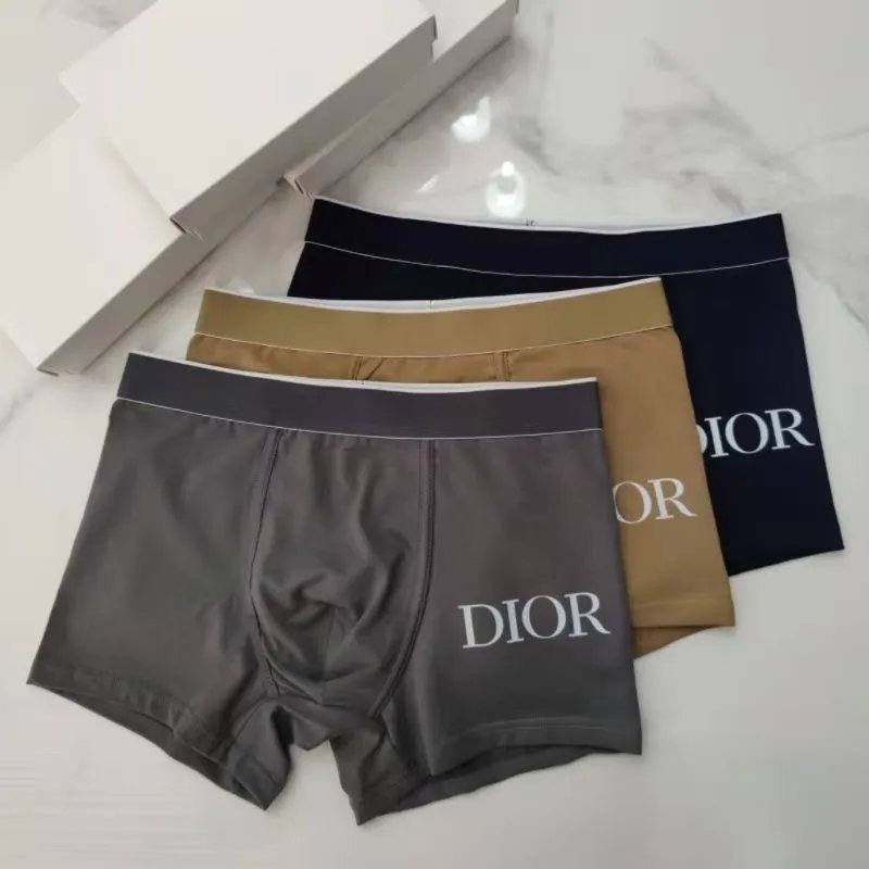 Dior Underwear