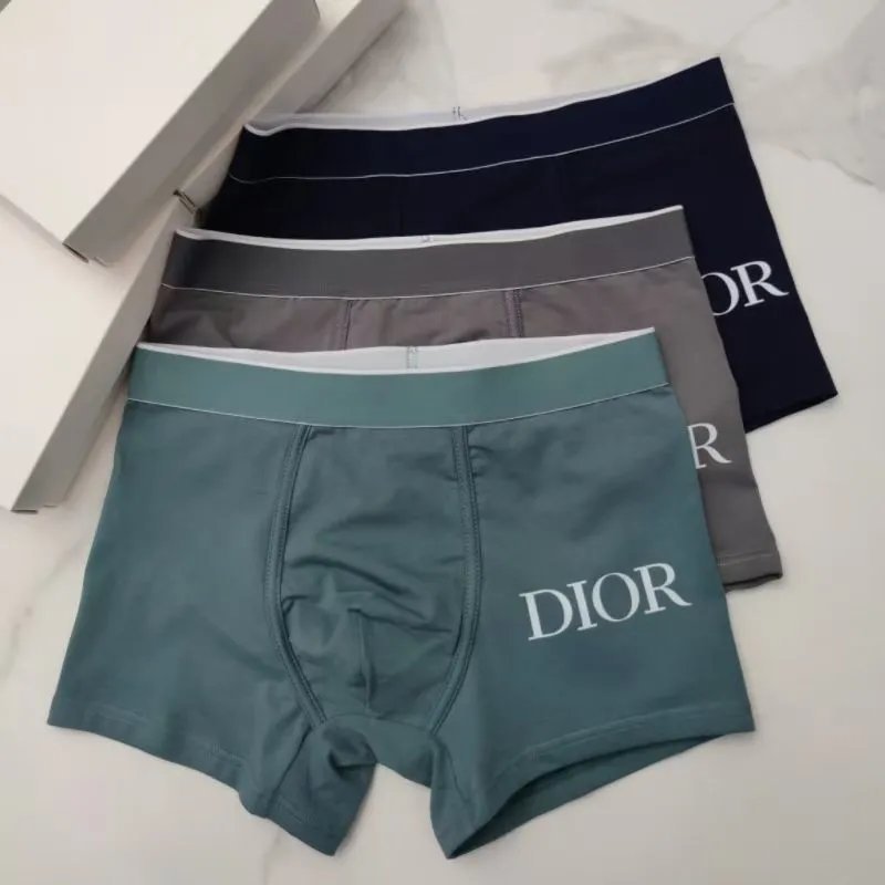 Dior Underwear
