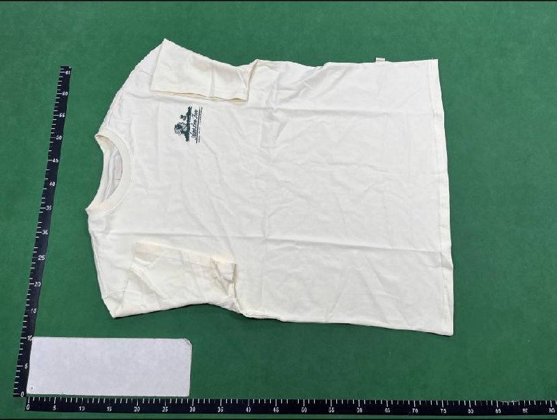 AIME LEON DORE  T-shirt